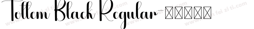 Tottem Black Regular字体转换